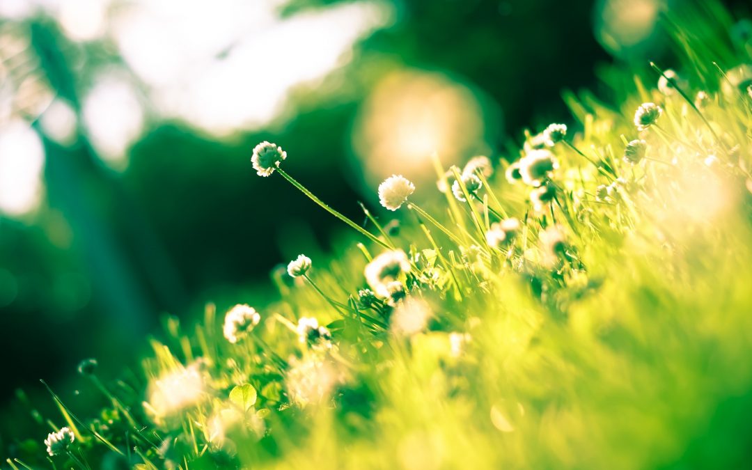 Un bon naturopathe près de Mulhouse